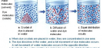 Active Transport (10th-Biology-Lesson-12.2.2)