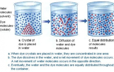 Active Transport (10th-Biology-Lesson-12.2.2)