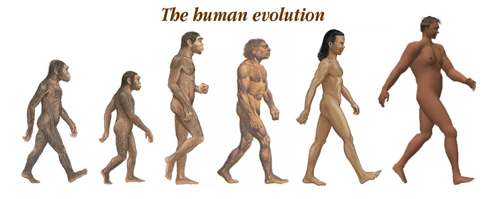 What will be the next step of evolution?