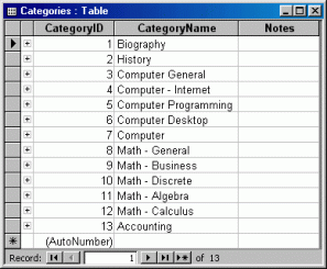 Datasheet-View