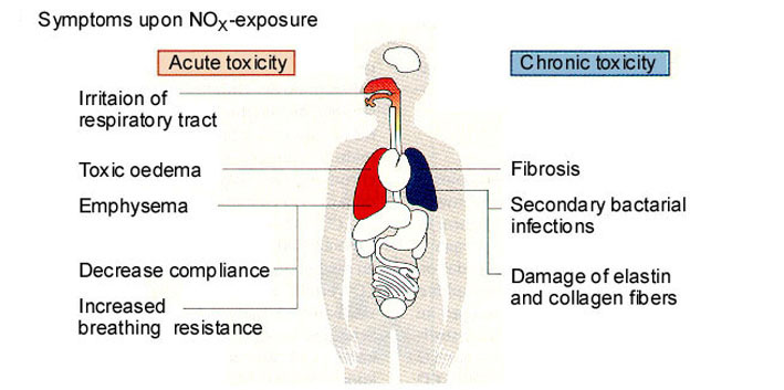 harmful effects of nitrogen oxide